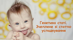 Генетика статі