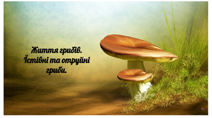 Презентація "Життя грибів" (НУШ)