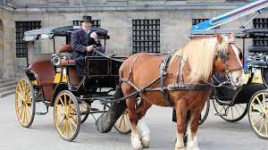 12 Common Types of Horse Drawn Carriages
