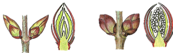 0401cdja-e03c-353x109.png