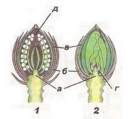 0401ce1p-9796-194x174.png