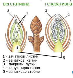 0401ceb4-b494-252x272.png