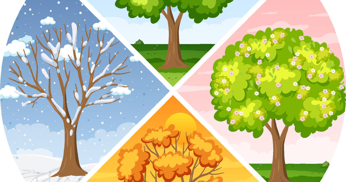 Jahreszeiten | Урок на 1 завдання. Німецька мова