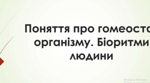 Поняття про гомеостаз організму. Біоритми людини​