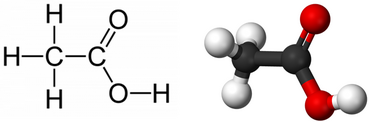0401cl03-89da-369x122.png