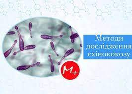 0401cl2a-6c06-266x190.jpg