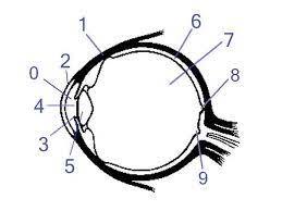 0401cm0h-cd7b-259x194.jpg