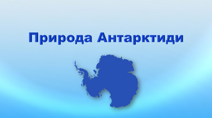 Презентація з географії 7 клас. "Природа  Антарктиди"