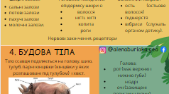 Інфографіка на тему "Ссавці" + 5 QR-кодів з посиланням на  інтерактивні ігри з теми (класифікація, встановлення відповідності, вікторина)  в сервісі LearningApps