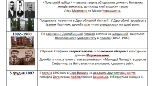 Інтерактивна вправа " Проблемний лист"(біографія та творчість  В.Стефаника).