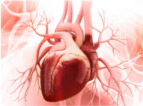 0401cqrd-0c78-207x154.png