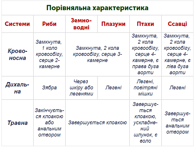 0401cr4o-05aa-670x505.png
