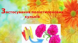 Презентація на тему: "Застосування поліетиленових  кульків "