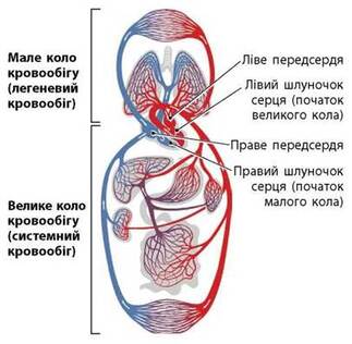 0401ctak-7d74-323x316.jpg
