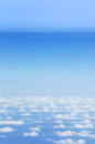 0401ctbw-07df-86x130.jpg