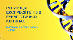 Презентація "Регуляція експресії генів в еукаріотичних клітинах"