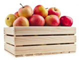 0401ctxb-6d8d-158x120.png