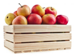 0401ctxh-a076-151x114.png