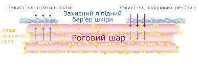 0401cuak-977d-389x129.jpg