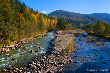 0401cv60-b578-383x254.jpg