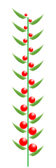 0401cvd7-ef2a-80x240.png