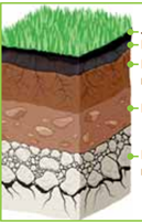 0401cyal-d256-129x202.png