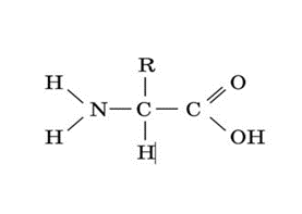 0401czi8-d363-277x197.png