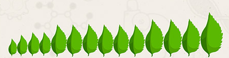 0401d1ps-2417-446x114.png