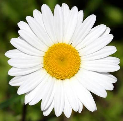 0401d3gc-ef11-395x388.png