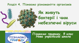 Як живуть бактерії  і чим небезпечні віруси, 5 клас, НУШ