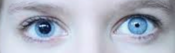 0401d4zt-e2e9-591x180.png