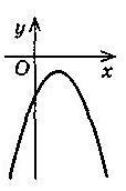 0401d53s-5736-114x172.jpg