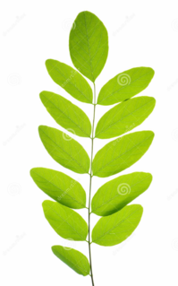0401d744-21f0-358x574.png