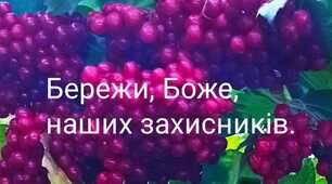 Вони автомат обіймають