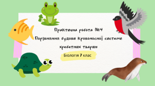 Практична робота №4 Порівняння будови кровоносної системи хребетних тварин