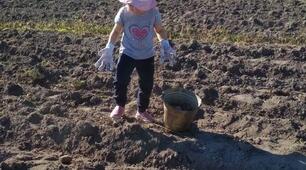 Українці мають одне спільне хобі...
