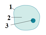 0401de2k-08a2-181x138.png
