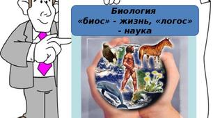  Серце: будова та функції. Робота серця.