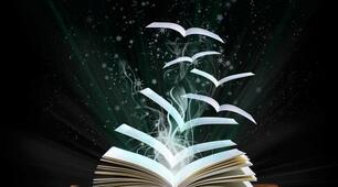Books and literature. Passive\Active voice