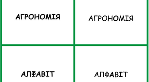 Наголоси. Картки. Методичний матеріал