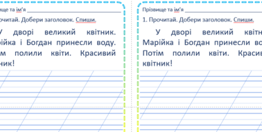 Картки для списування. 1 клас | Інші методичні матеріали. НУШ