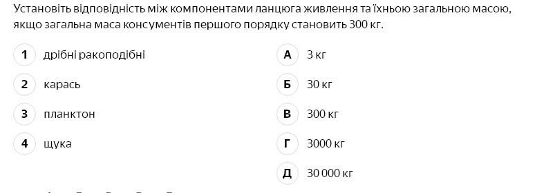 0401domc-e270-800x280.jpg