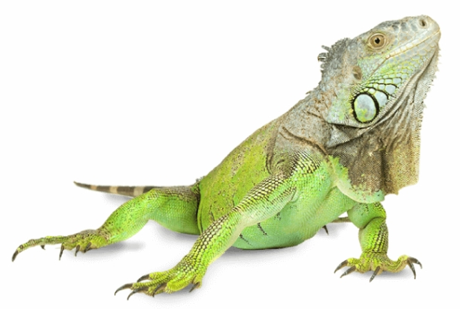 0401dqfd-d6d1-661x444.png