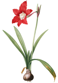 0401dsc2-8e86-199x285.png