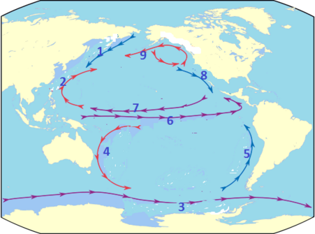 0401dszb-a2c3-451x335.png