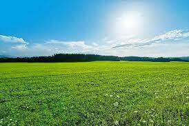 Warm and sunny weather continues for the beginning of May in Romania | Romania Insider
