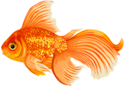 0401dtog-96f9-180x124.png