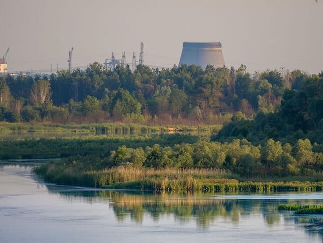 Чорнобильський радіаційно-екологічний біосферний заповідник