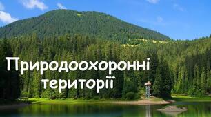 Географія 8 клас. Законодавчі акти про природно – заповідний фонд України. Природно – заповідний фонд. Національна екологічна мережа України