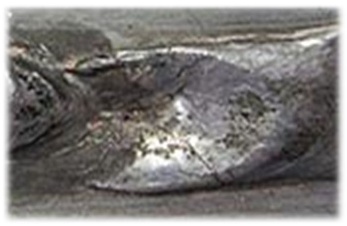 0401dx4b-5478-707x460.png